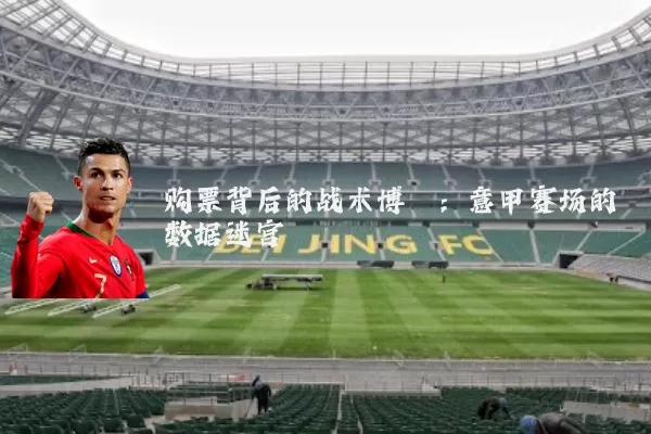 购票背后的战术博弈:意甲赛场的数据迷宫